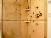 wex_bathroom_masonry